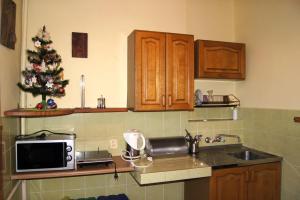 a kitchen with a christmas tree on the counter at Róża in Szklarska Poręba