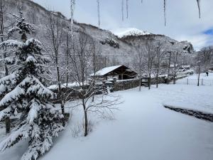 a snow covered yard with a cabin in the background at Vikendice Biocinovici in Kolašin