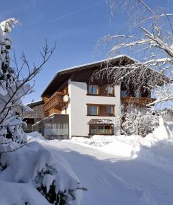 Haus Baumgartner v zime