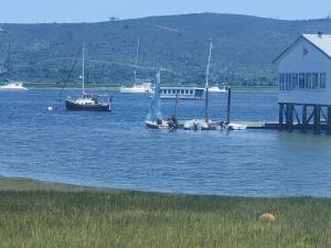 克尼斯纳The Little Mermaid Knysna houseboat的两艘船停靠在码头附近的水中