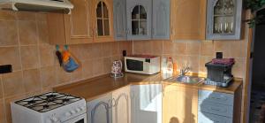 Kuchyň nebo kuchyňský kout v ubytování Apartmán v centru Království sov + 22 fotografií