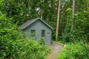 un pequeño cobertizo en medio de un bosque en Tarka Woodland Cabin, en Littleham