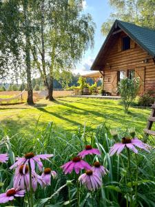 a group of pink flowers in front of a cabin at Czuła Chata Ojców in Prądnik Czajowski