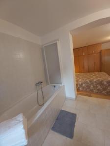 Imagem da galeria de Apartman Luce with shared pool em Zadar mais 21 fotografias