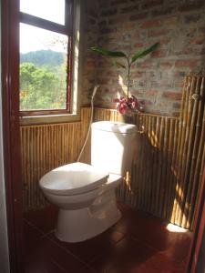 ein Badezimmer mit WC und einer Pflanze darüber in der Unterkunft PuBinSpiceHills Perilla in Hòa Bình