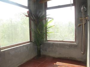 eine Pflanze in einer Vase vor einem Fenster in der Unterkunft PuBinSpiceHills Perilla in Hòa Bình