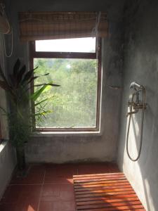 ein Bad mit einer Dusche, einem Fenster und einer Pflanze in der Unterkunft PuBinSpiceHills Perilla in Hòa Bình