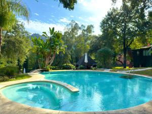 a large swimming pool in a yard with trees at La Fuente del Pedregal Casa 1 - Lago y piscinas in Málaga