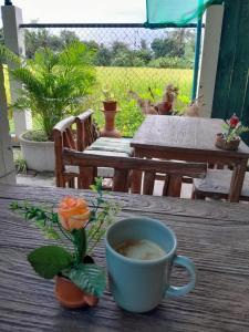 a cup of coffee sitting on a wooden table at บ้านอังกาบ Aungkab homestay in Ban Muang Len