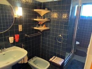 Onet le ChâteauにあるLes 4 saisonsの洗面台、トイレ、シャワー付きのバスルーム