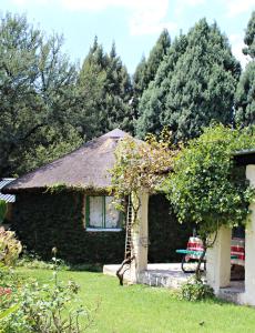 Zahrada ubytování ilyn pottery cottage