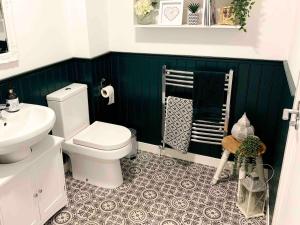 ラーウィックにあるStunning 1 Bedroom Lerwick Town Centre Apartmentの緑の壁のバスルーム(トイレ付) +13枚の写真