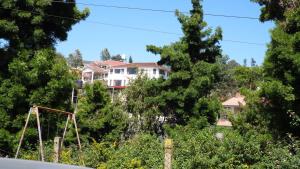 Zahrada ubytování Satya Anand Cottage Pure Veg and Non Alcoholic Hotel