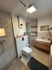 a bathroom with a toilet and a sink and a shower at Schulz Apartments Menden in Sankt Augustin +37 photos