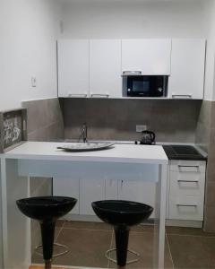 Kuchyň nebo kuchyňský kout v ubytování Pupinova palata- Apartman 7