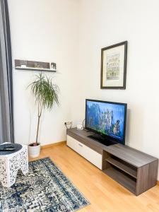 TV a/nebo společenská místnost v ubytování Serenity Apartment - Harmony