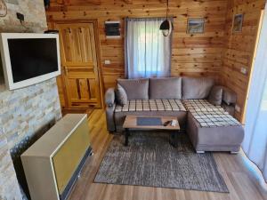 โทรทัศน์และ/หรือระบบความบันเทิงของ Cottage Vodice 2, Zlatibor