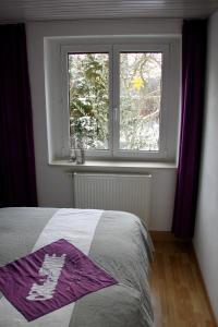 a bedroom with a bed and a window at Ferienwohnung Sonja am Weinberg in Radebeul