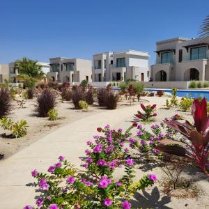 a pathway with flowers in front of a building at Sunset Hawana in Salalah