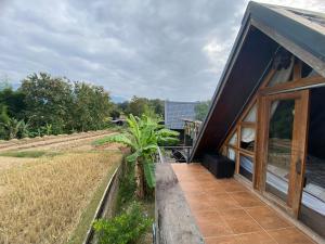 a house with a view of a field at กอดปัว in Ban Hia