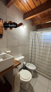 ポトレロ・デ・ガライにあるCabañas Sueño Doradoのトイレ、洗面台、シャワー付きのバスルーム