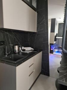 Η κουζίνα ή μικρή κουζίνα στο Kristal Lux Violeta