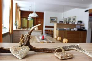 Fotografie z fotogalerie ubytování Berggasthof Lusen v destinaci Neuschönau