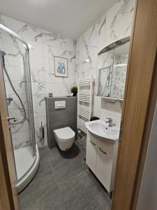 a bathroom with a toilet and a sink and a shower at OnPoint Apartmani in Osijek +45 photos
