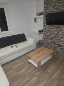 TV a/nebo společenská místnost v ubytování Apartma Minka
