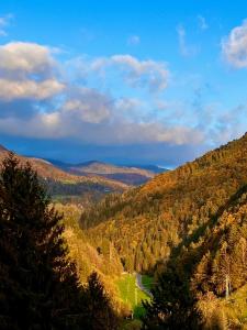 a view of a valley with trees and a lake at Zelena dolina in Cerkno