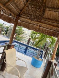 a chair and a palm tree on a patio at CONDO Marena 2 in Playa del Carmen