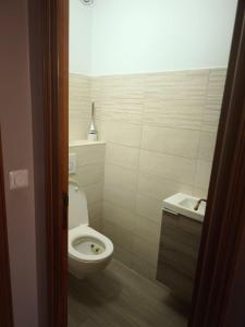 een badkamer met toilet en wastafel bij MAISON Aéroport CDG Parc des expos Villepinte Bourget Astérix in Goussainville +1 foto