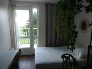 sypialnia z łóżkiem i dużym oknem w obiekcie Charmant logement Guidel Plage, chambre vue mer, piscine chauffée w mieście Guidel +16 zdjęć