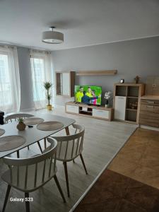 Kuchyň nebo kuchyňský kout v ubytování Apartament Stary Browar