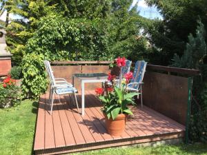 Zahrada ubytování Ferienwohnung-Holzer-Feng-Shui