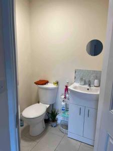 a bathroom with a toilet and a sink at Gragara House in Kilkenny +19 photos