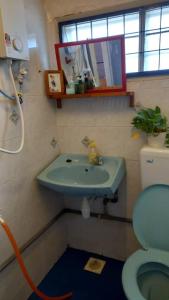 ein Badezimmer mit Waschbecken und Toilette in der Unterkunft Bentong Hill Cottage in Bentong