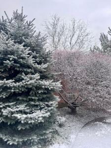 Fotografie z fotogalerie ubytování Пансіонат Маленька Квітка Kis Virág Panzió v destinaci Velyka Bihanʼ
