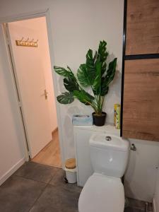 Łazienka w obiekcie Studio La Casa De Planel Gare Saint Roch