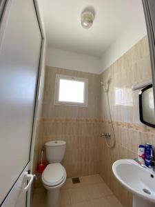 a small bathroom with a toilet and a sink at samia fekih in El Hafsi +4 photos