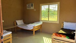 Imagem da galeria de مخيم يمك دروبي em Al Ula