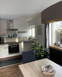 Kuchyň nebo kuchyňský kout v ubytování Appartement Krepper