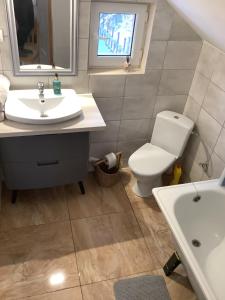 a bathroom with a sink and a toilet at Nad stawami in Wilka