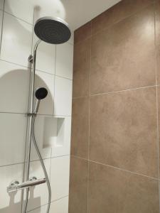 a shower with a shower head in a bathroom at Aux Tilleuls de Renaison in Renaison +26 photos