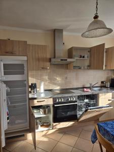 Kuchyň nebo kuchyňský kout v ubytování Ferienwohnung Beate 1