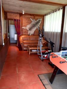 a living room with a couch and a shark head on the wall at Chalet Alice in LʼHôpital-Saint-Blaise