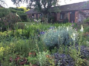 Gallery image of Quantock Hills Cottage in Spaxton in Spaxton +23 photos