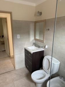 a bathroom with a toilet and a sink and a mirror at Cabaña Puente B 1 in El Calafate +3 photos