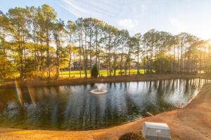 a pond with a swan in the middle of it at Angie's Place w Golf Views Plus Huge Resort Pool in North Myrtle Beach