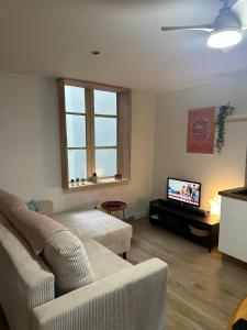 Μια τηλεόραση ή/και κέντρο ψυχαγωγίας στο cocon du petit Bayonne